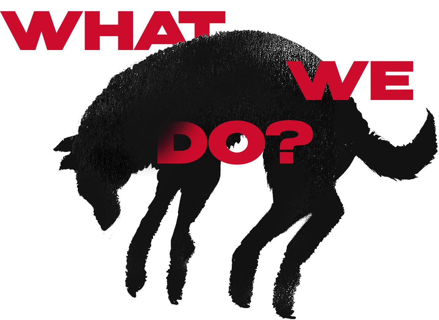 What we do?